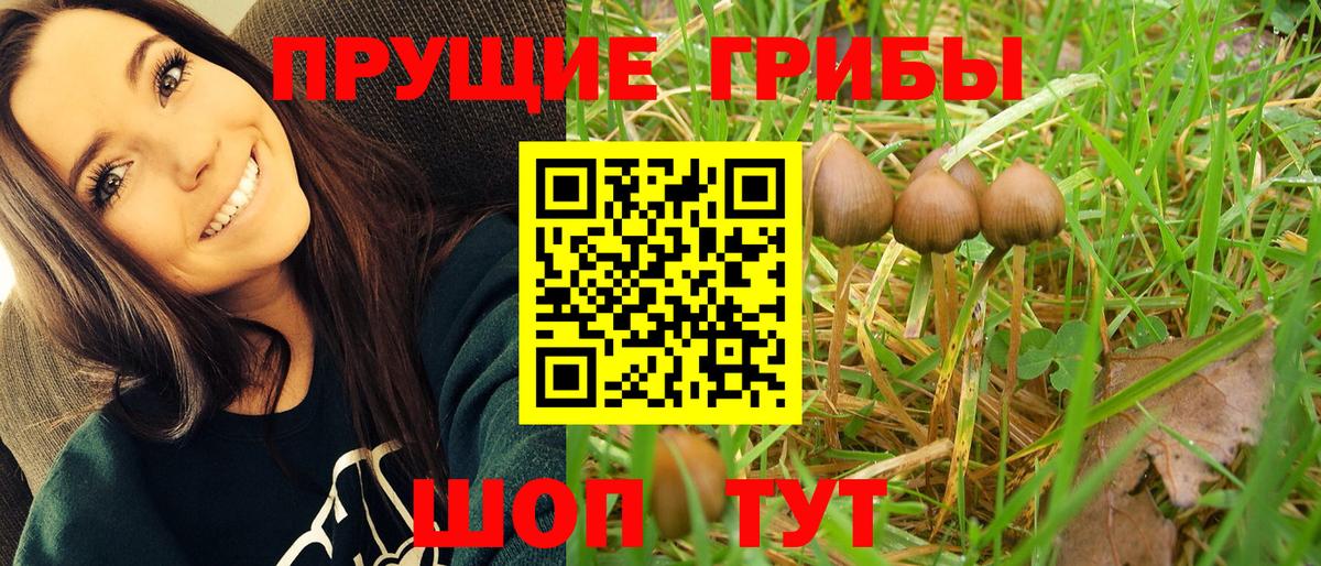 Галлюциногенные грибы мицелий  Вход с VPN  Балтийск 